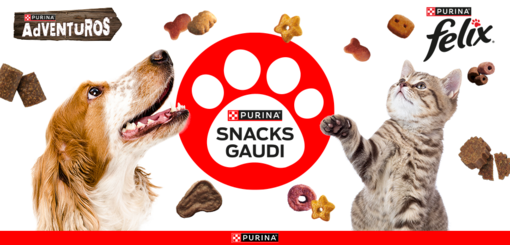 Snacksgaudi