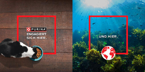 PURINA EUROPA'S PROGRAMM ZUR REGENERATION VON MEERESLEBENSRÄUMEN"