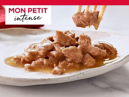 GOURMET MON PETIT