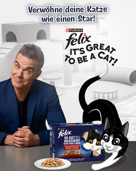 Superstar Robbie Willams in blauem Anzug neben Kater FELIX und FELIX-Katzenfutter, Werbeslogan im Hintergrund.