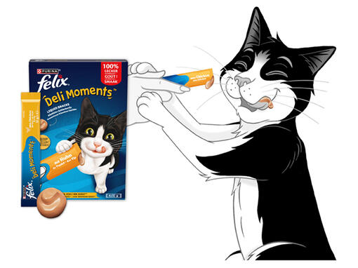 FELIX Deli Moments