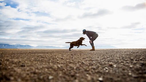 Die Bedeutung der Bindung zu deinem Hund