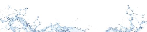 Wassernapf