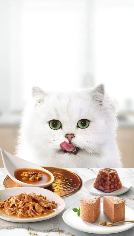 Gourmet