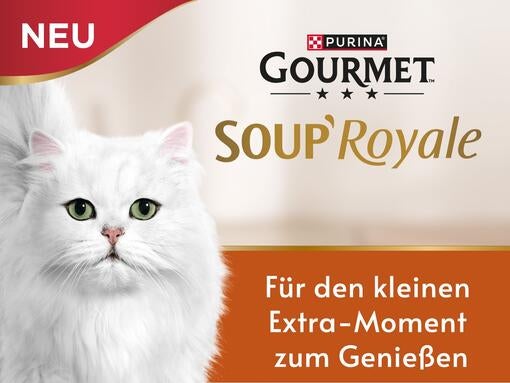 Gourmet Soup Royale