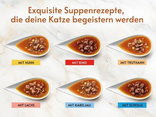 Exquisite Suppenrezepte, die deine Katze begeistern werden