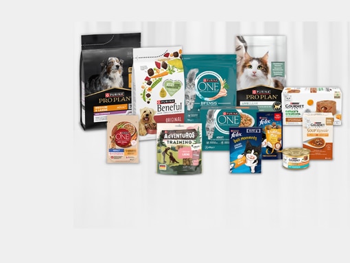 PURINA Marken: Tiernahrung für Katze und Hund