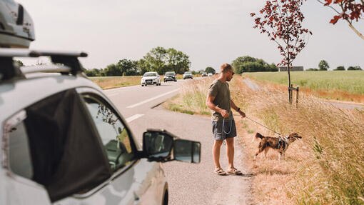 Ein Hund und sein Besitzer stehen am Straßenrand neben einem Auto.