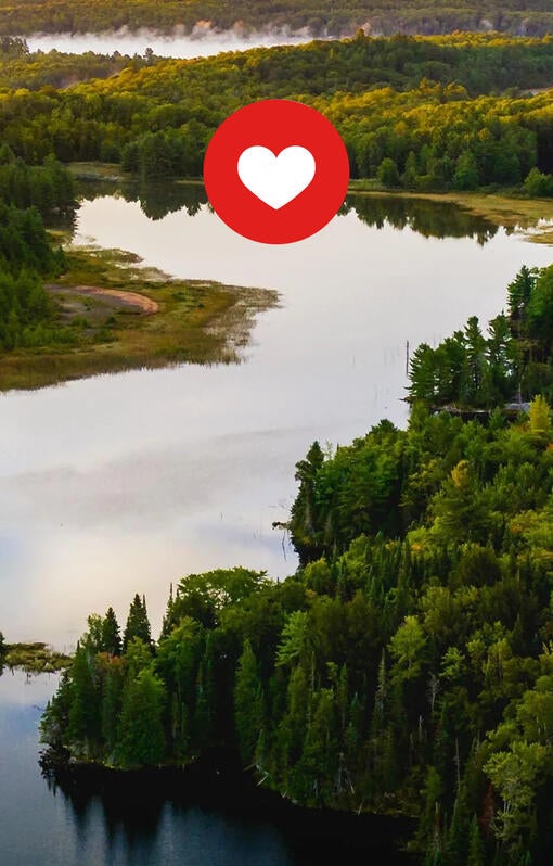 Discover our Sustainability Efforts at Purina