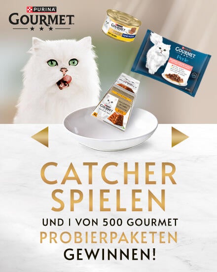 Catcher Spielen