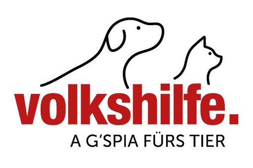 Volkshifle