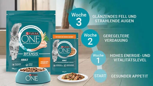 Entdecke in nur 3 Wochen den Unterschied