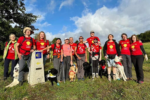 Purina bildenfuehrhundeamjakobsweg