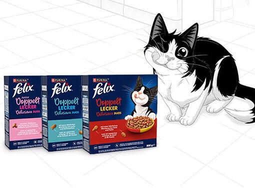 Felix Trockenfutter