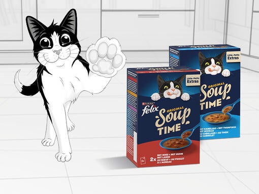 Felix Soups