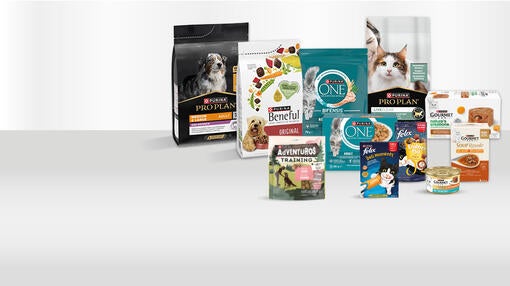 PURINA Marken: Tiernahrung für Katze und Hund