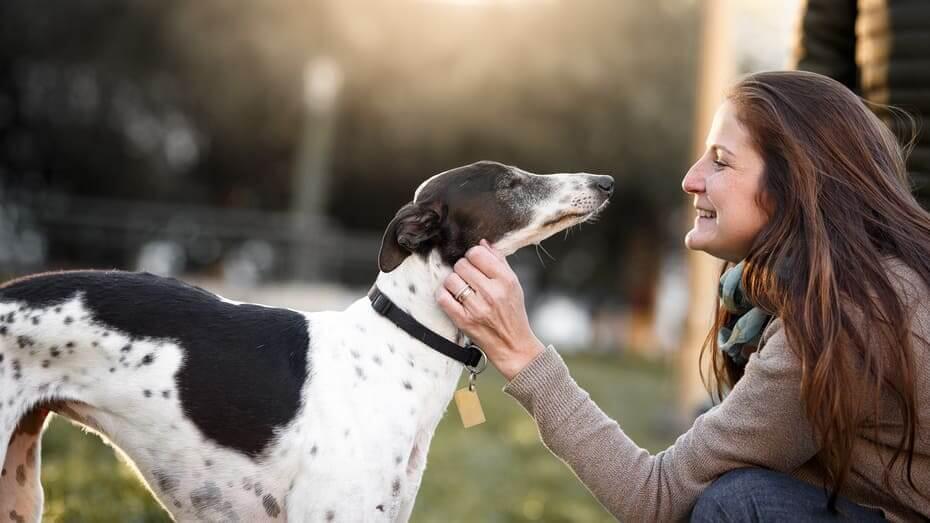 Frau mit einem Hund Frau mit einem Hund